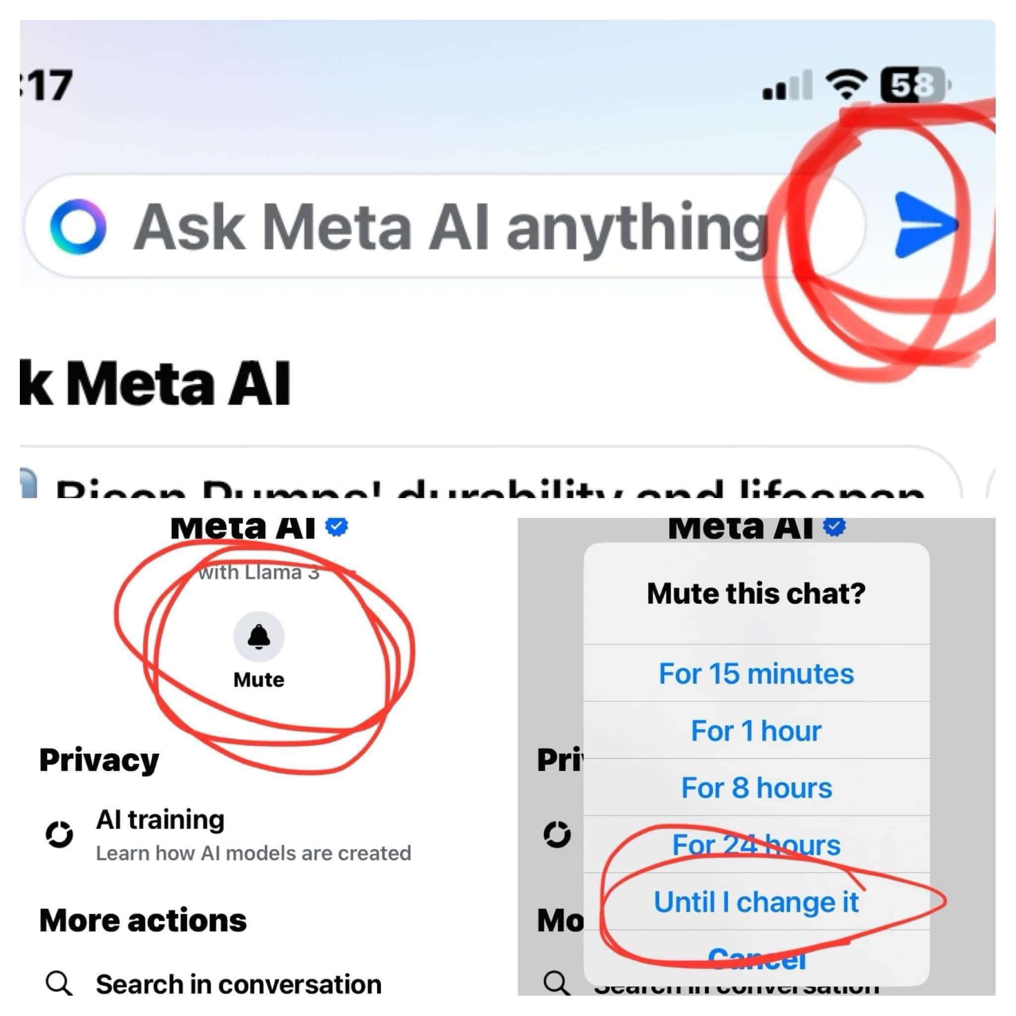 Turning off Meta AI (muting Meta AI)