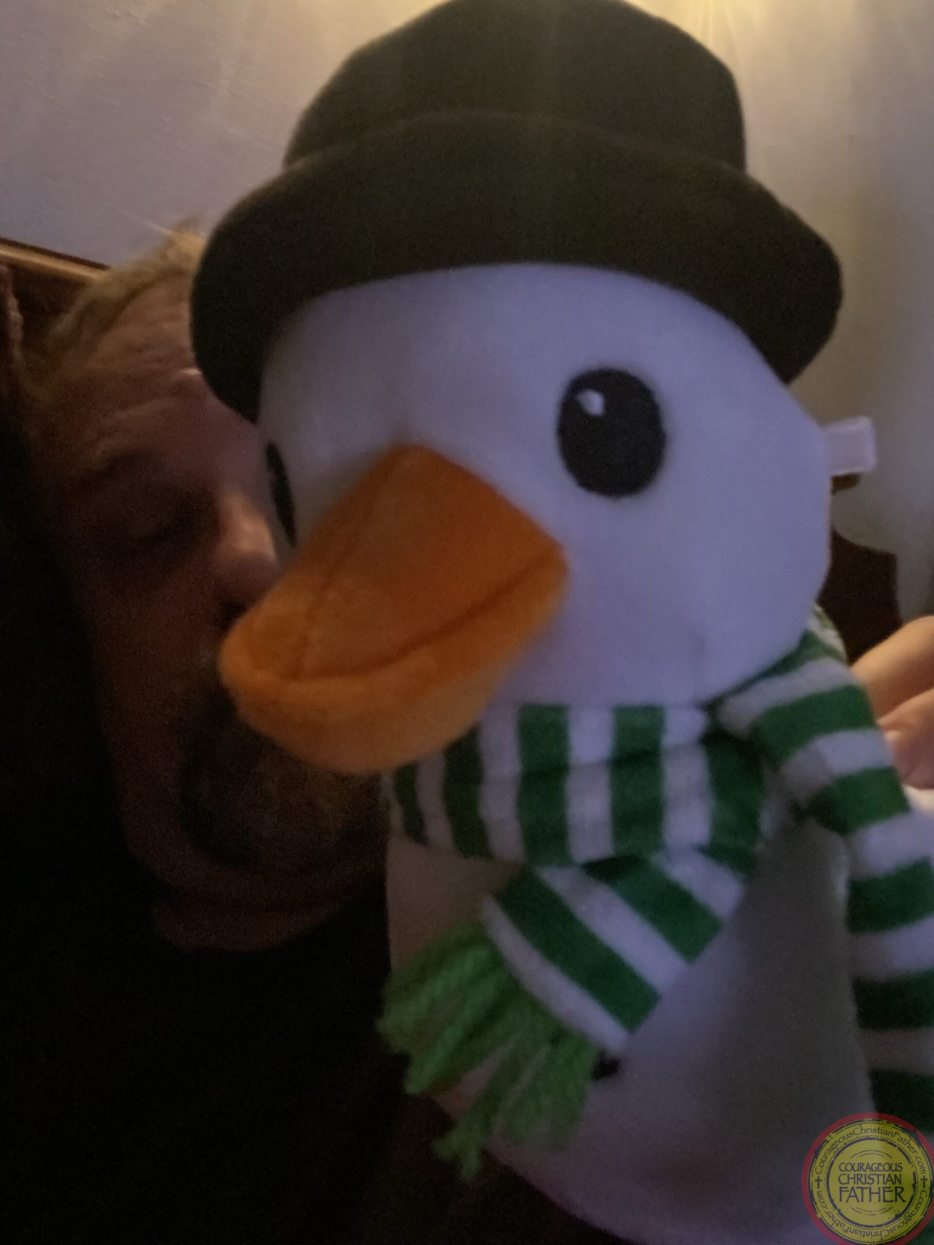 I was sick on Thanksgiving and my wife got me this Snowman Duck we named it Frost Feathers. 